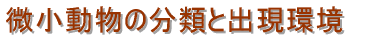 微小動物の分類と出現