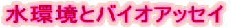 �����ƃo�C�I�A�b�Z�C 